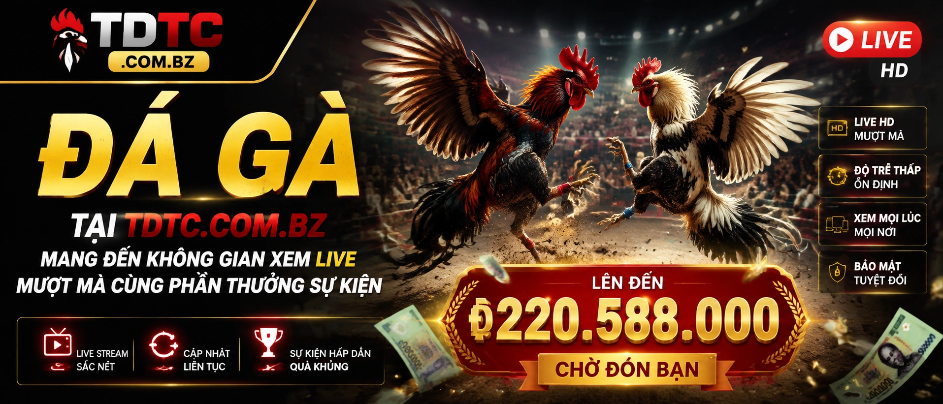 Đá Gà trực tuyến trên mobile
