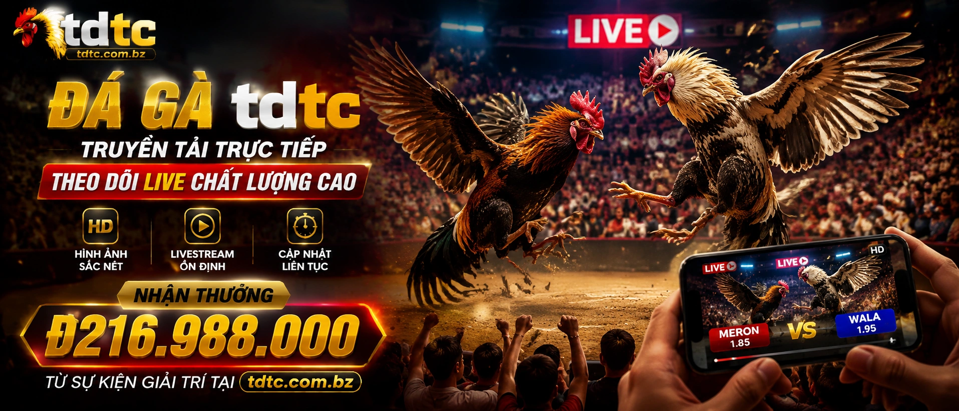 Phòng đá và tỷ lệ kèo Đá Gà
