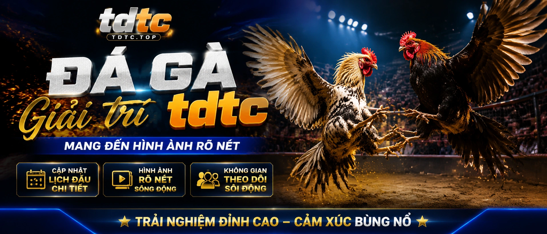 Đá Gà trực tiếp trên điện thoại